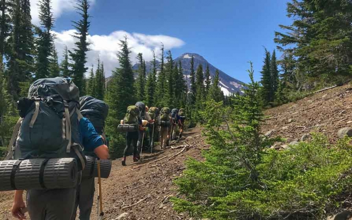 a group of students carrying backpacks hike along an alpine trail lined with trees